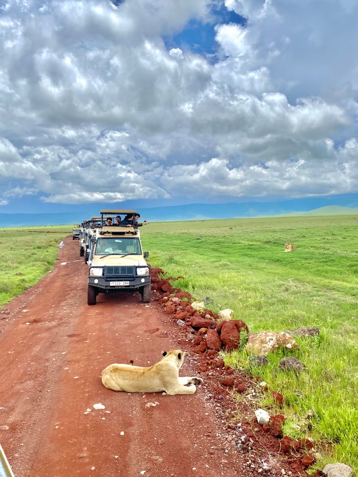 Maasai Mara